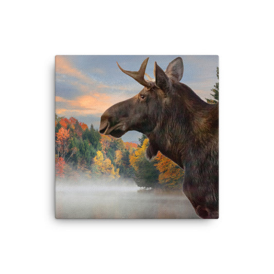 6° Degrees Vermont Moose II Canvas
